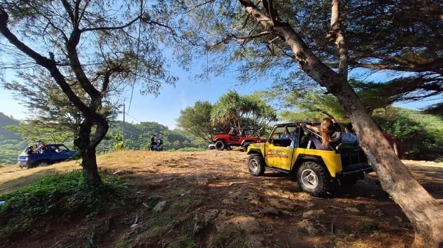 Yogyakarta: Explore Pindul Cave, Oyo River & Timang Beach - Who Will Love This Tour?