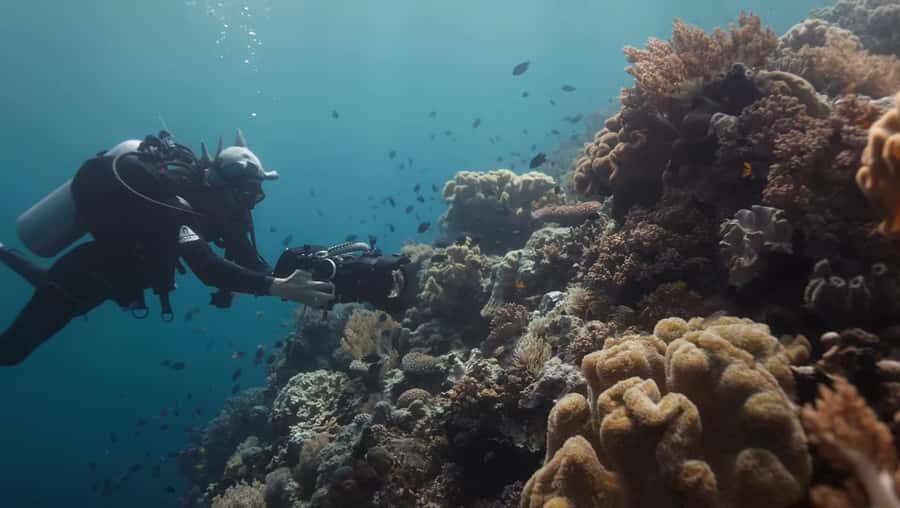 Yogyakarta: Goa Pindul, Nglambor Beach, & Sand Dunes Tour - Introduction: What’s the Tour All About?