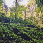 Yogyakarta Jomblang Cave and Pindul Cave Tour - The Experience: What You’ll Really Get