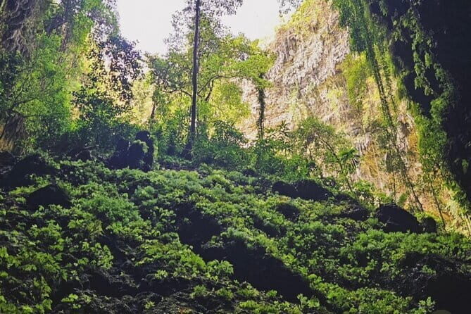 Yogyakarta Jomblang Cave and Pindul Cave Tour - The Experience: What You’ll Really Get