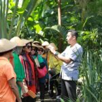 Yogyakarta/Magelang: Selogriyo Temple and Weaving Tour - Practical Details and Tips