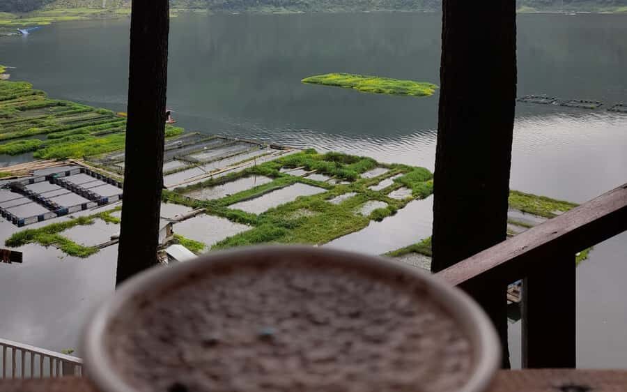 Yogyakarta: Menjer Lake Bamboo Boat Tour with Lunch - Local Fishing and Authentic Scenes