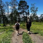 Yogyakarta: Mount Merapi National Park Trek with Pickup - An In-Depth Look at the Mount Merapi Trek Experience