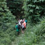 Yogyakarta : Mount Merapi Soft Trek and Botanic Village Tour - The Itinerary Breakdown