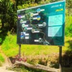 Yogyakarta: Mt Merbabu Guided Hike with Breakfast & Lunch - What’s Included and What to Expect