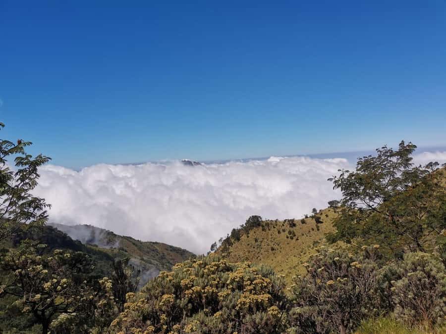 Yogyakarta: Mt Merbabu Guided Hike with Breakfast & Lunch - Final Thoughts: Who Is This Tour Best For?