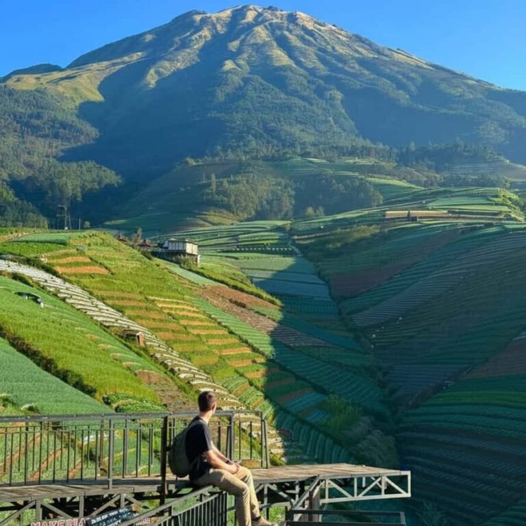 Yogyakarta: Nepal Van Java & Vegetable Village Tour - Exploring Nepal Van Java: A Village Like No Other