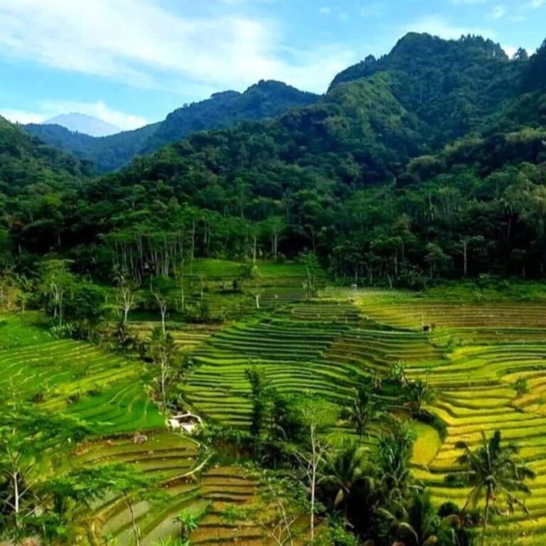 YOGYAKARTA; SELOGRIYO TEMPLE RICE FIELDS AND CHICKEN CHURCH. - Practical Details and What to Expect