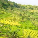 Yogyakarta Selogriyo Trek & Borobudur Drone Adventure - Practical Details: What You Need to Know