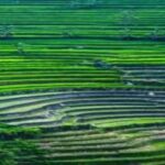 Yogyakarta Selogriyo Trek & Borobudur Drone Adventure - Breaking Down the Itinerary