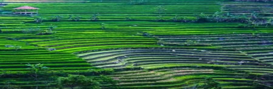 Yogyakarta Selogriyo Trek & Borobudur Drone Adventure - Breaking Down the Itinerary