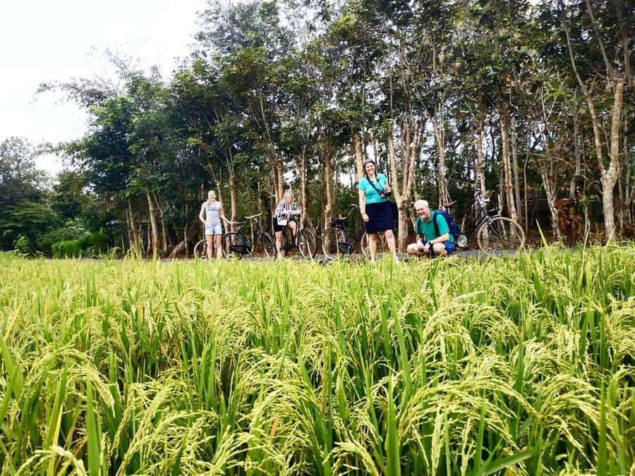 Yogyakarta: Traditional Village Bicycle Tour with Transfer - The Cultural and Practical Aspects