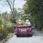 Yogyakarta : VW Borobudur English Guide Tour Long Trip - Why Choose This Tour?