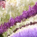 YokaBus Kawachi Wisteria Garden and Strawberry Picking Experience - Transportation and Group Dynamics