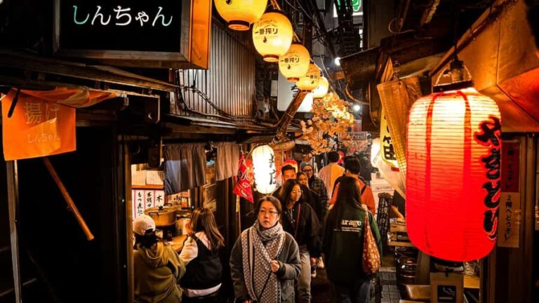 Yokohama Bar Hopping: Deep Spots & Izakayas with a Local - What Makes This Tour Stand Out?