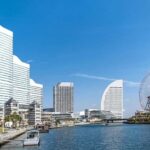 Yokohama Cherry Blossom Tour Full Day and Local Expert Guide - The Sum Up