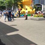 Yokohama Full Day Tour with a Local Expert Guide - Who Would Love This Tour?