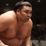 Yokohama Sumo Tour from Tokyo ( Ticket Included) | Apr 16 - A Closer Look at the Tour Experience