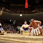 Yokohama Sumo Tour from Tokyo (Ticket Included) | Apr 16 - The Itinerary in Detail