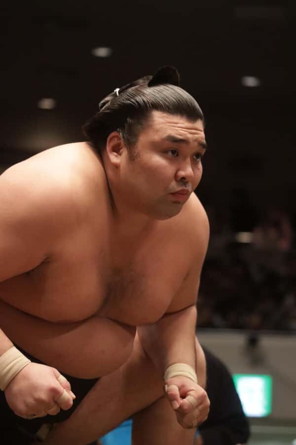 Yokohama Sumo Tour from Tokyo ( Ticket Included) | Apr 16 - A Closer Look at the Tour Experience