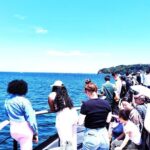 Yokosuka: Guided Island Tour to Sarushimas Forgotten Fort - Who Would Love This Tour?