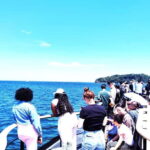 Yokosuka: Guided Island Tour to Sarushimas Forgotten Port - An In-Depth Look at the Sarushima Guided Tour