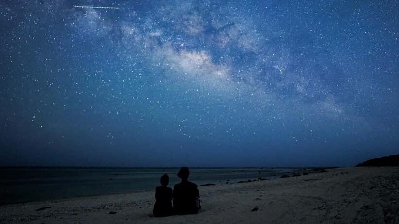 Yonaguni Island: Stargazing and Jungle Night Tour - The Value of the Experience