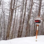 Yonako Falls Expedition: A Snowshoeing Adventure - Who Will Love This Tour?