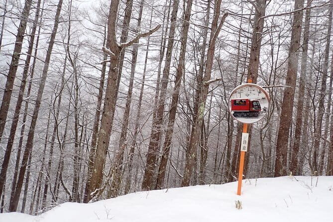 Yonako Falls Expedition: A Snowshoeing Adventure - Who Will Love This Tour?