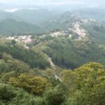 Yoshino: Private Guided Tour & Hiking in a Japanese Mountain - The Value of This Experience