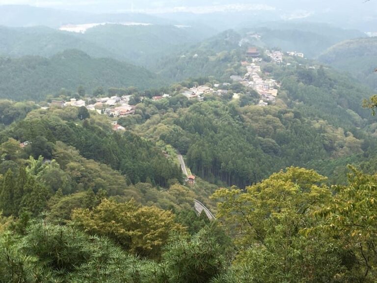 Yoshino: Private Guided Tour & Hiking in a Japanese Mountain - The Value of This Experience
