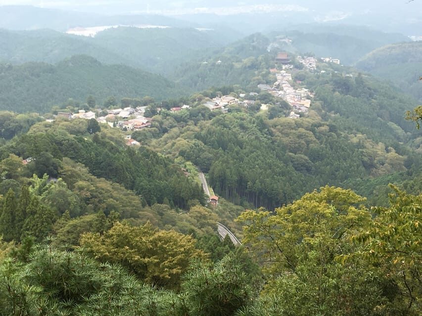 Yoshino: Private Guided Tour & Hiking in a Japanese Mountain - The Value of This Experience