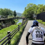 Yufuin: Hot Springs, Nature & Art - Private guided day tour - What’s Included and What to Consider