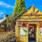 Yufuin: Mountains, Art, and Scenic Trails day tour - Deep Dive into Value and Practicalities