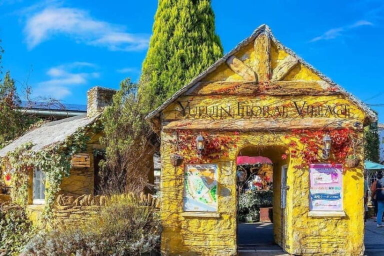 Yufuin: Mountains, Art, and Scenic Trails day tour - Deep Dive into Value and Practicalities