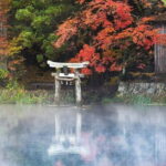 Yufuin: Onsen Wellness & Culinary Delights Guided Tour - Analyzing Value: Is It Worth the Price?