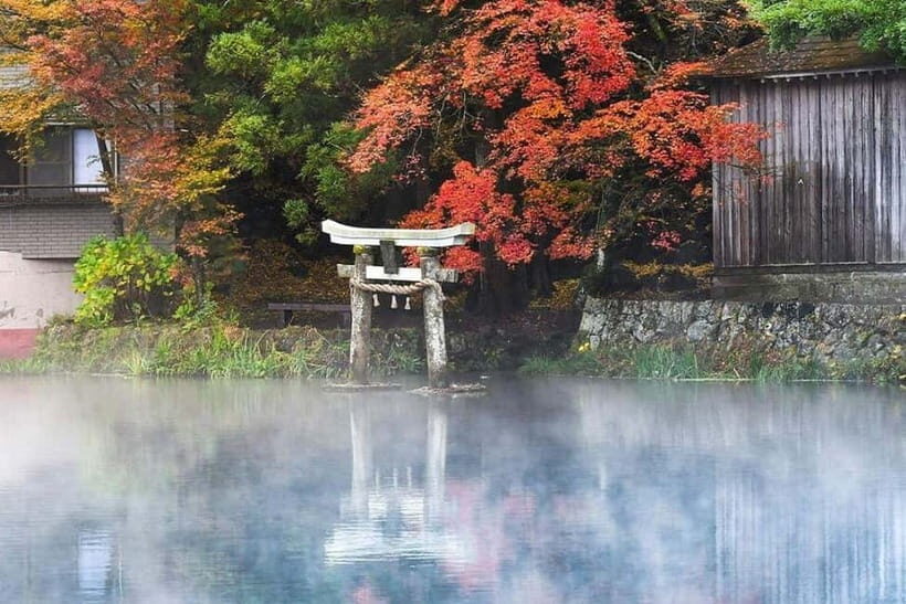 Yufuin: Onsen Wellness & Culinary Delights Guided Tour - Analyzing Value: Is It Worth the Price?