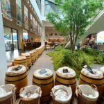 Yunnan Coffee Valley | Half-Day Road Trip - The Value of the Experience