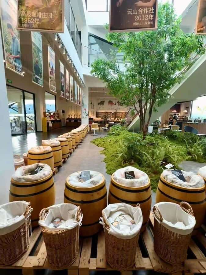 Yunnan Coffee Valley | Half-Day Road Trip - The Value of the Experience