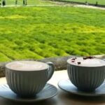 Yunnan Dali Erhai 3 Pagodas of Chongsheng Temple One Day Tour - The Practicalities: What You Need to Know