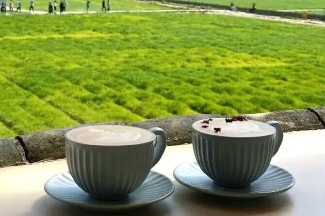 Yunnan Dali Erhai 3 Pagodas of Chongsheng Temple One Day Tour - The Practicalities: What You Need to Know