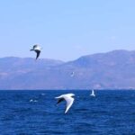 Yuxi, Yunnan: Fuxian Lake Sailing Base  60-Minute Sail - Frequently Asked Questions