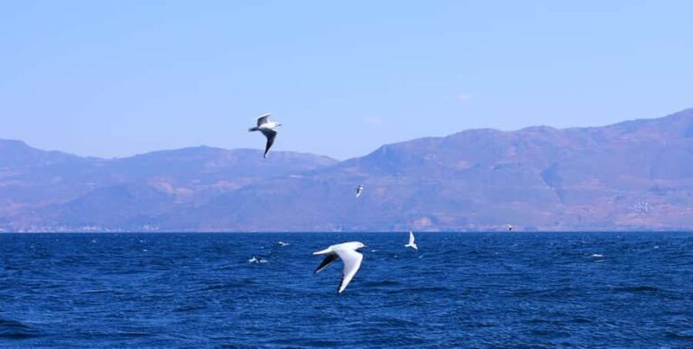 Yuxi, Yunnan: Fuxian Lake Sailing Base  60-Minute Sail - Frequently Asked Questions