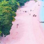 Zamboanga: Sta. Cruz Island Pink Sand Beach Day Trip - Is This Tour Worth It?