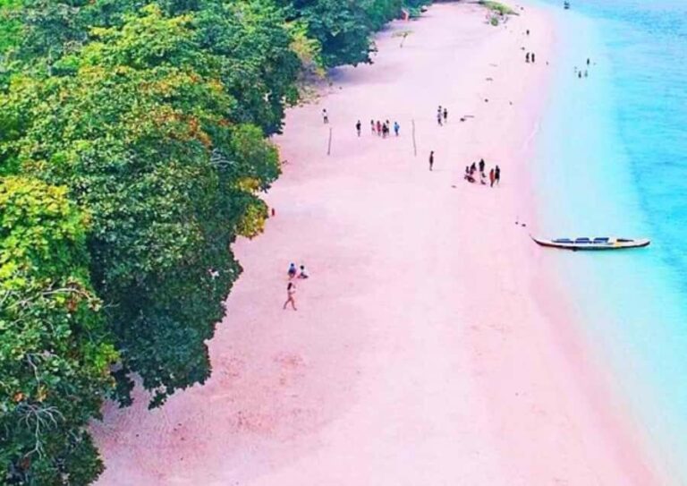 Zamboanga: Sta. Cruz Island Pink Sand Beach Day Trip - Is This Tour Worth It?  