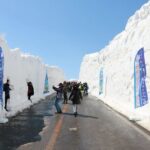 Zao Snow Wall & Sakura with Hanami Lunch Box Bus Tour from Sendai - Final Thoughts