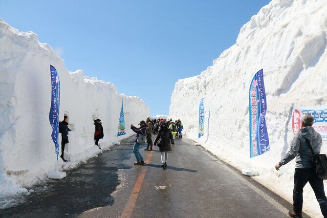 Zao Snow Wall & Sakura with Hanami Lunch Box Bus Tour from Sendai - Final Thoughts
