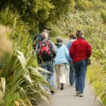 Zealandia by Day Tour - Transportation and Accessibility