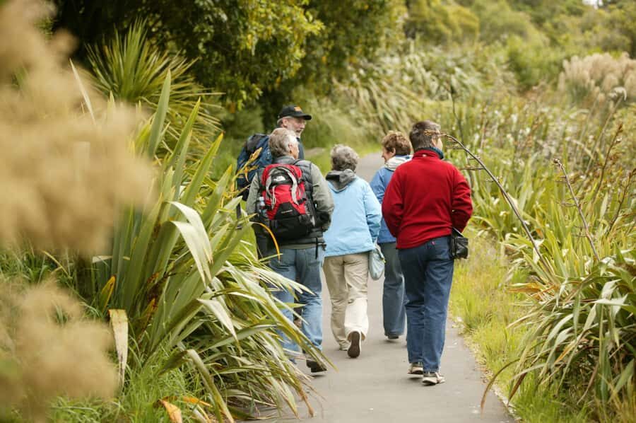 Zealandia by Day Tour - Transportation and Accessibility