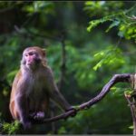 Zhangjiajie: Glass Bridge & Avatar Scenery Day - Pricing and Value